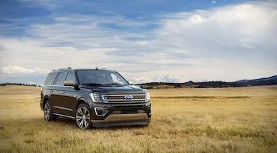 2021 Ford Expedition For Sale in Southfield