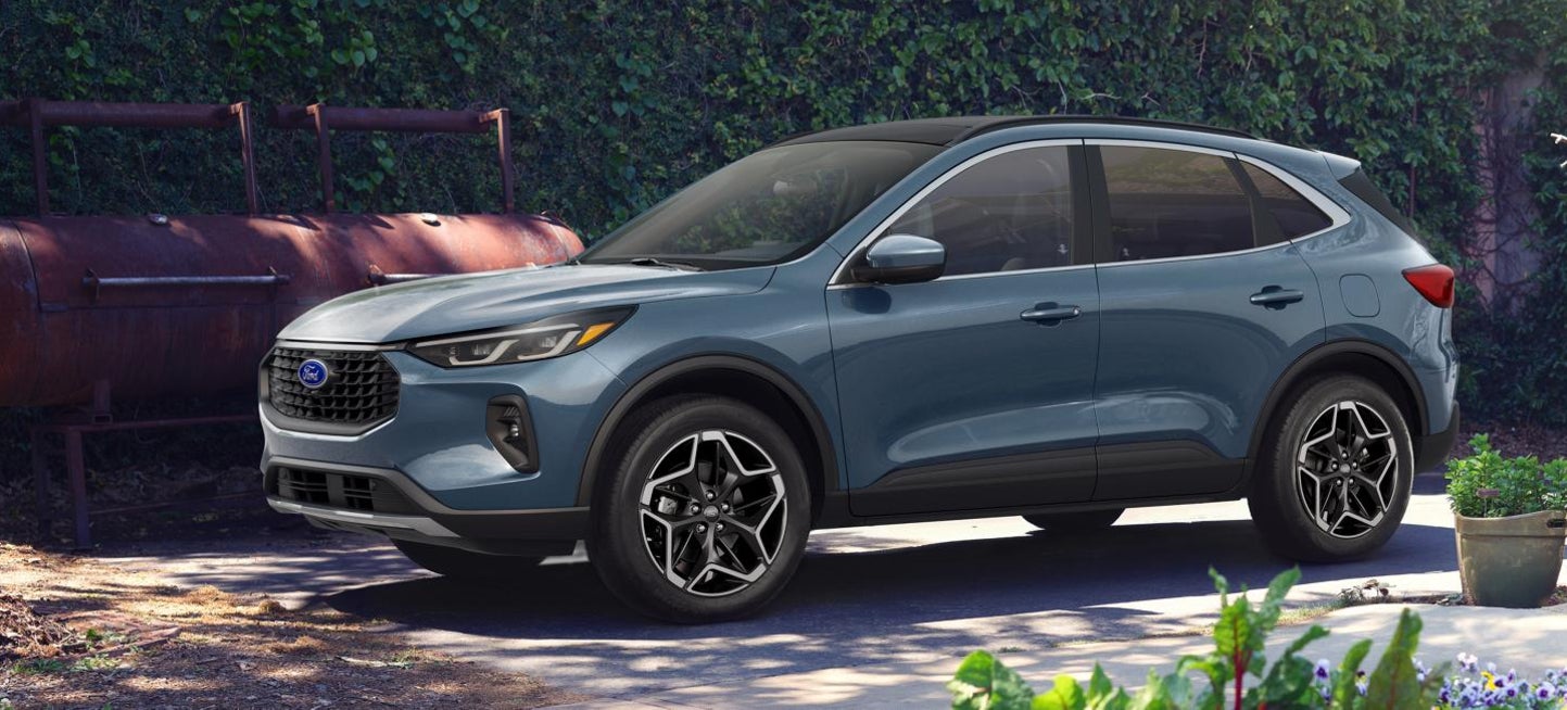 A blue Ford Escape parked in a driveway near a wall of ivy.